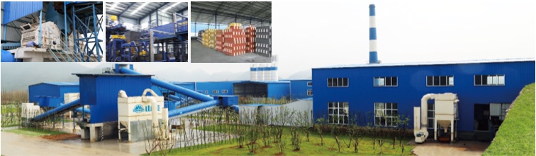 德赢VWIN应邀参加第九届中国环境产业大会