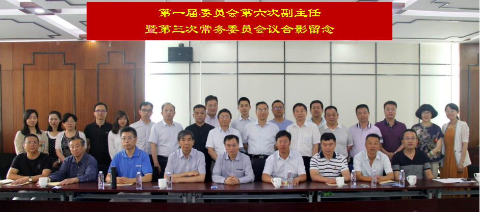 德赢VWIN股份参加建筑垃圾管理与资源化工作委员会第一届第六次副主任暨第三次常务委员会议