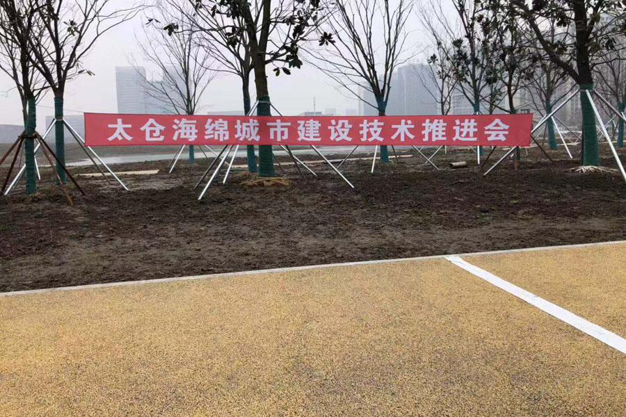 德赢VWIN股份出席中日政府间科技合作项目、国家重点研发项目研讨会暨“太仓海绵城市建设技术“推进会