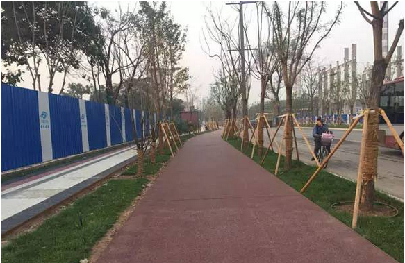 喜讯|德赢VWIN股份荣获2019年度北京科学技术进步奖二等奖