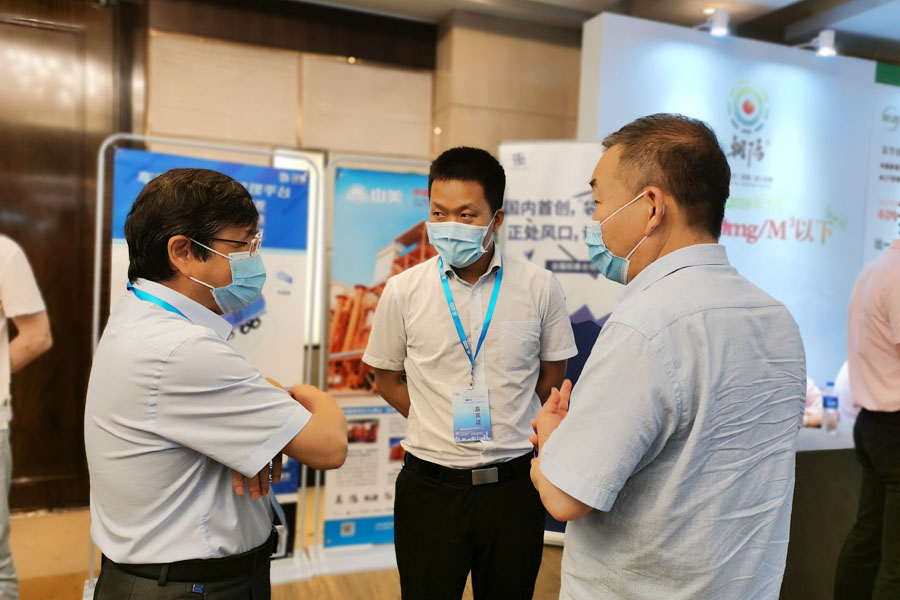 聚焦|德赢VWIN股份高品质机制砂石生产方案成2020中国水泥产业峰会焦点