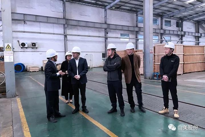 快讯|上海市奉贤区青村镇镇长等领导莅临德赢VWIN考察指导工作