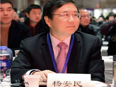 风生水起!杨安民董事长谈上海德赢VWIN股份有限公司经营之道 //高端访谈