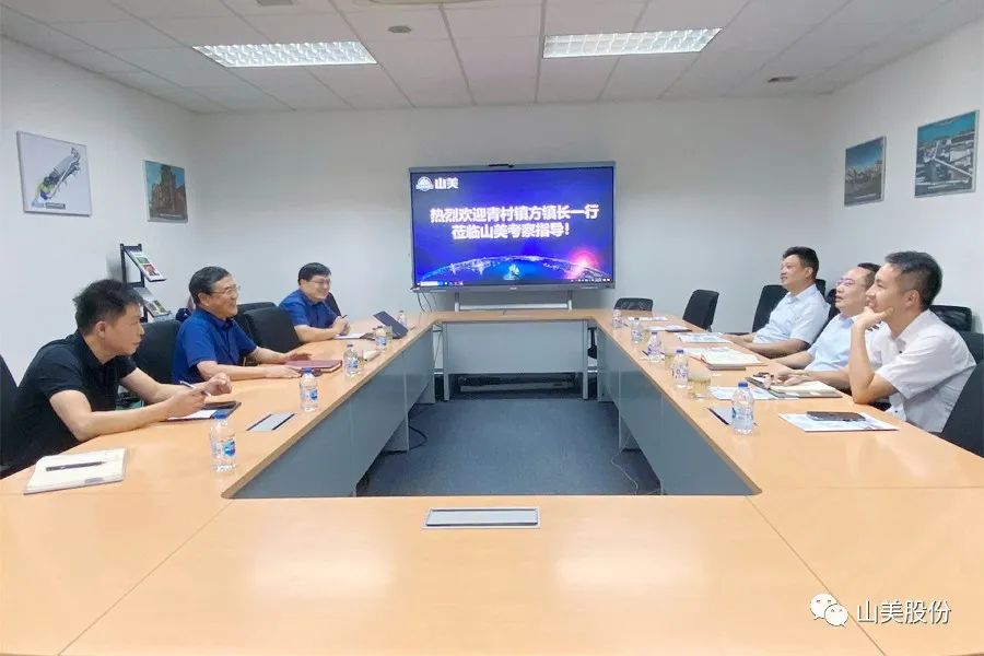 上海市奉贤区青村镇党委副书记、镇长方伟一行莅临上海德赢VWIN股份考察调研
