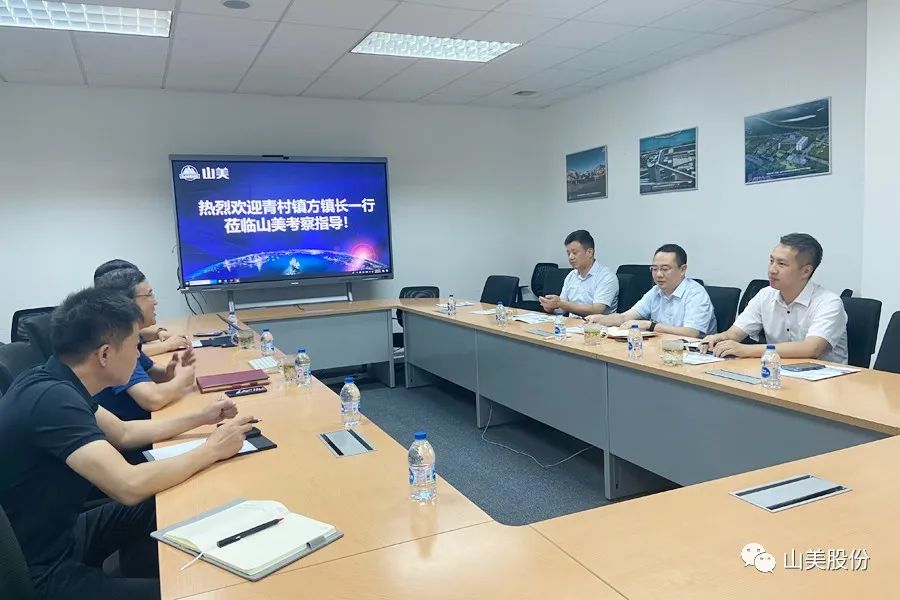 上海市奉贤区青村镇党委副书记、镇长方伟一行莅临上海德赢VWIN股份考察调研